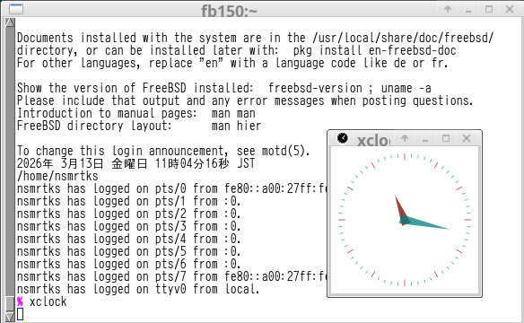 displaying X11 client